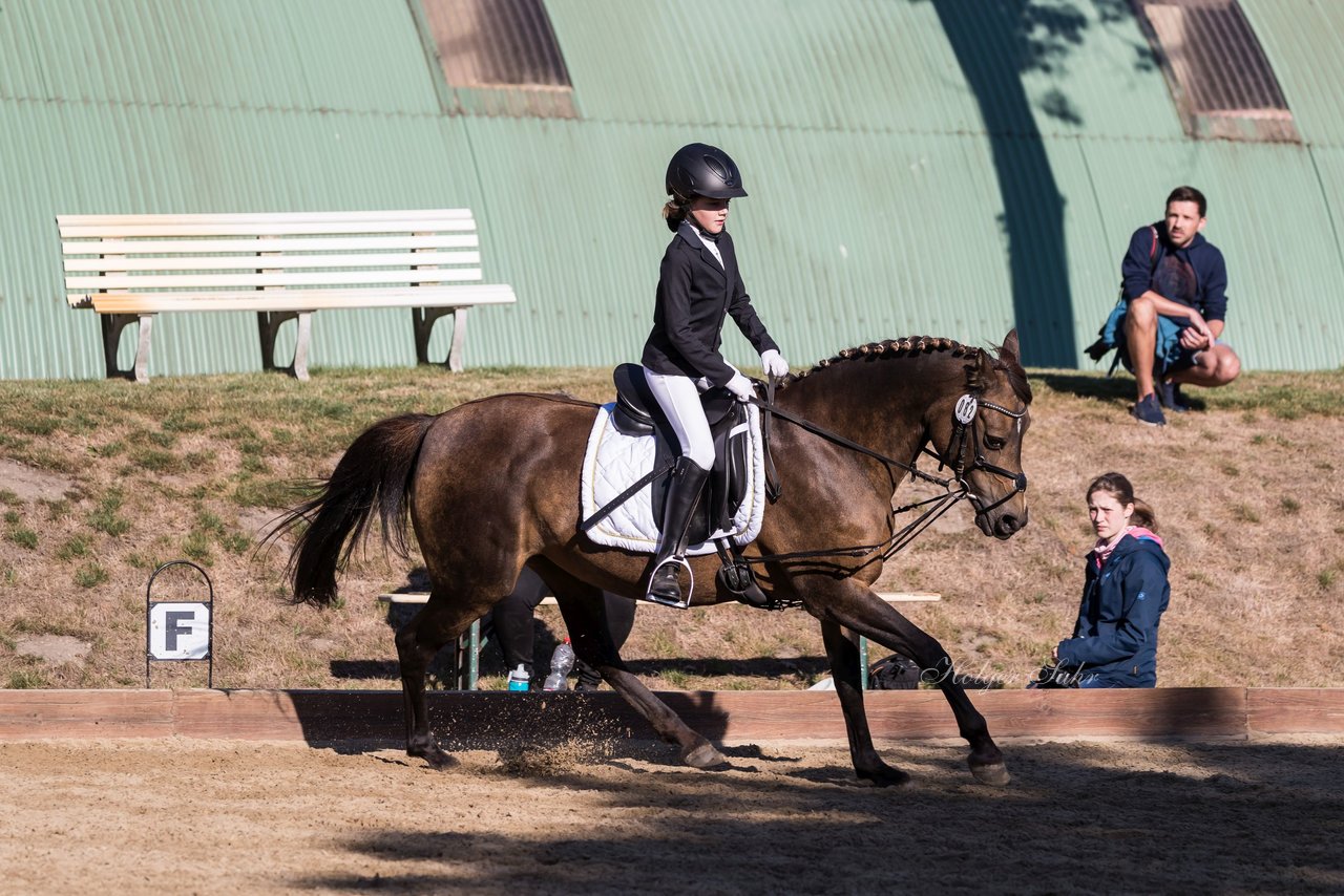 Bild 75 - Pony Akademie Turnier